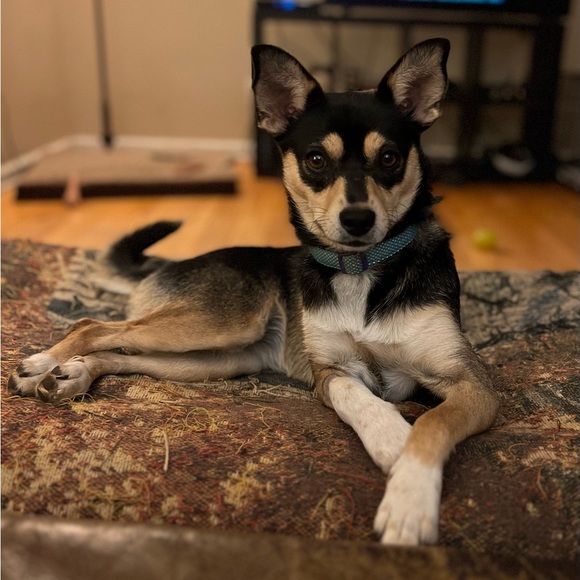 Hi! Meet your seller / buyer... - Picture 5 of 5